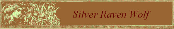 Silver Raven Wolf         