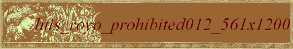 luis_royo_prohibited012_561x1200